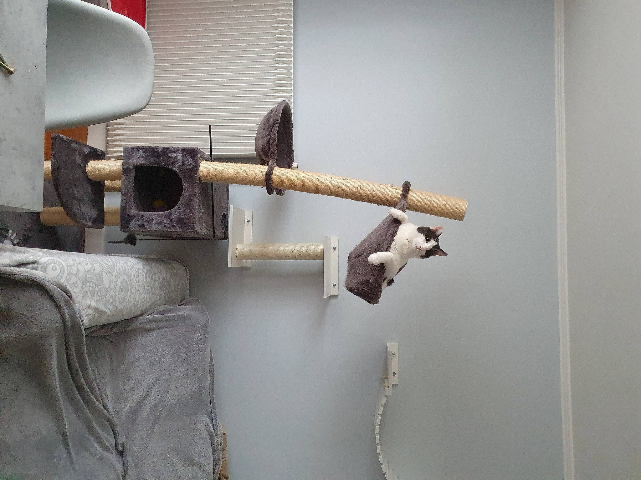 Floyd a rejoint le concours — aidez-le/la à gagner de superbes lots ! ceiling, composite_material, door, fixture, gas, machine, metal, musical_instrument, pipe, plaster, room, surveillance_camera, wood