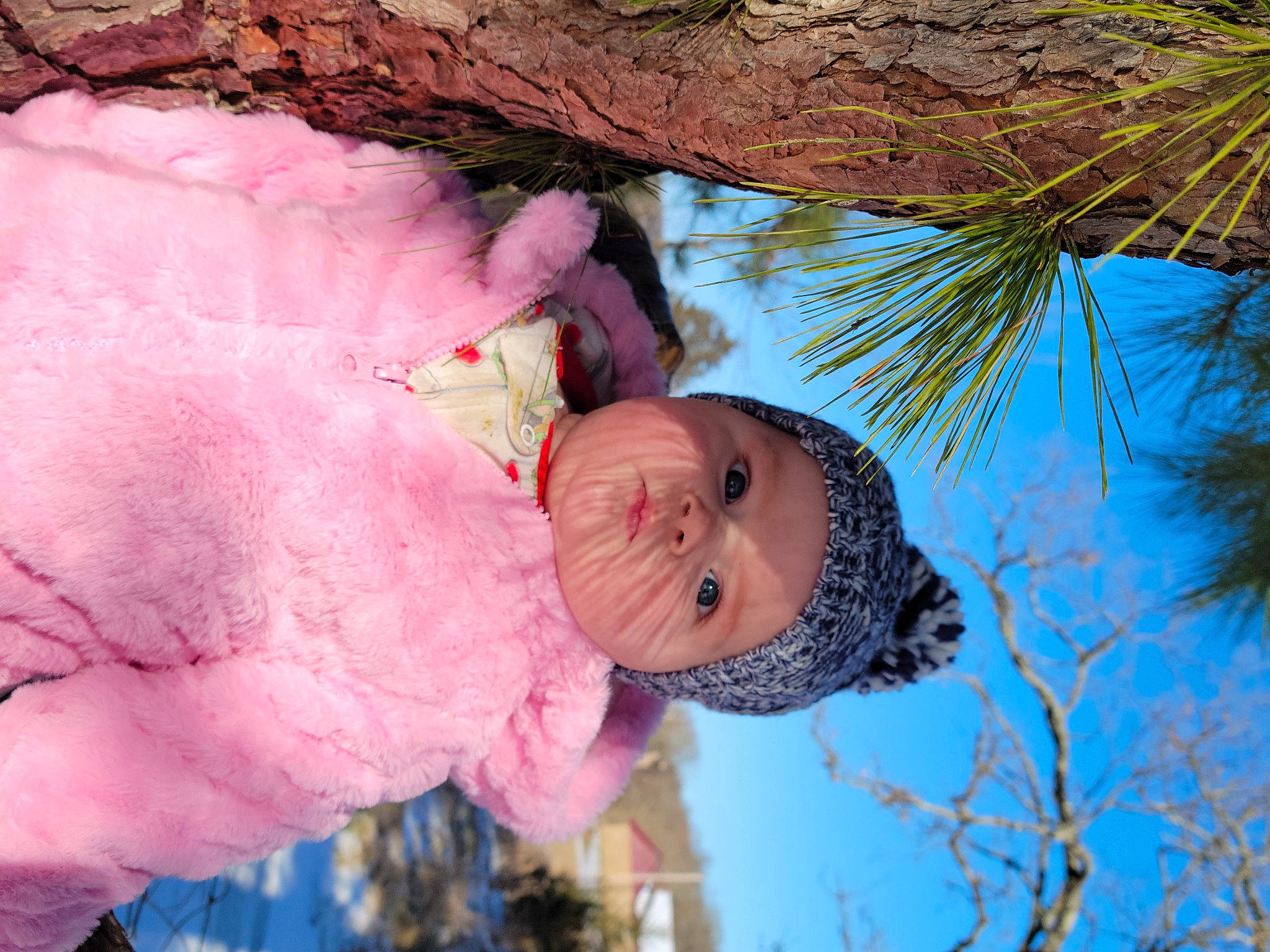 Annie joined the competition — help win amazing prizes! branch, fun, grass, hair, happy, head, headwear, human_body, leisure, magenta, palm_tree, people_in_nature, person, petal, pink, plant, sky, toddler, tree, twig