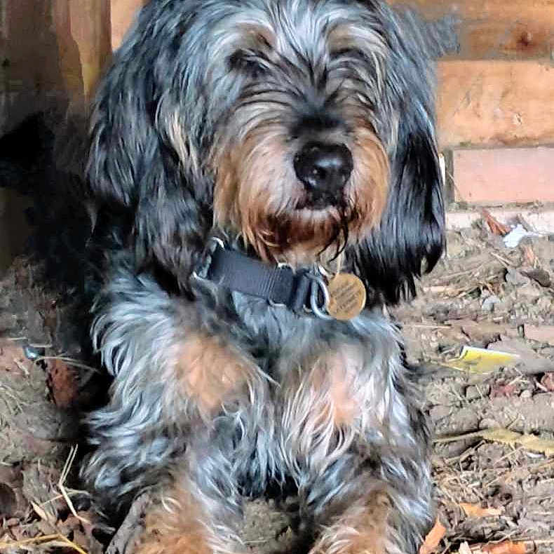 Melba