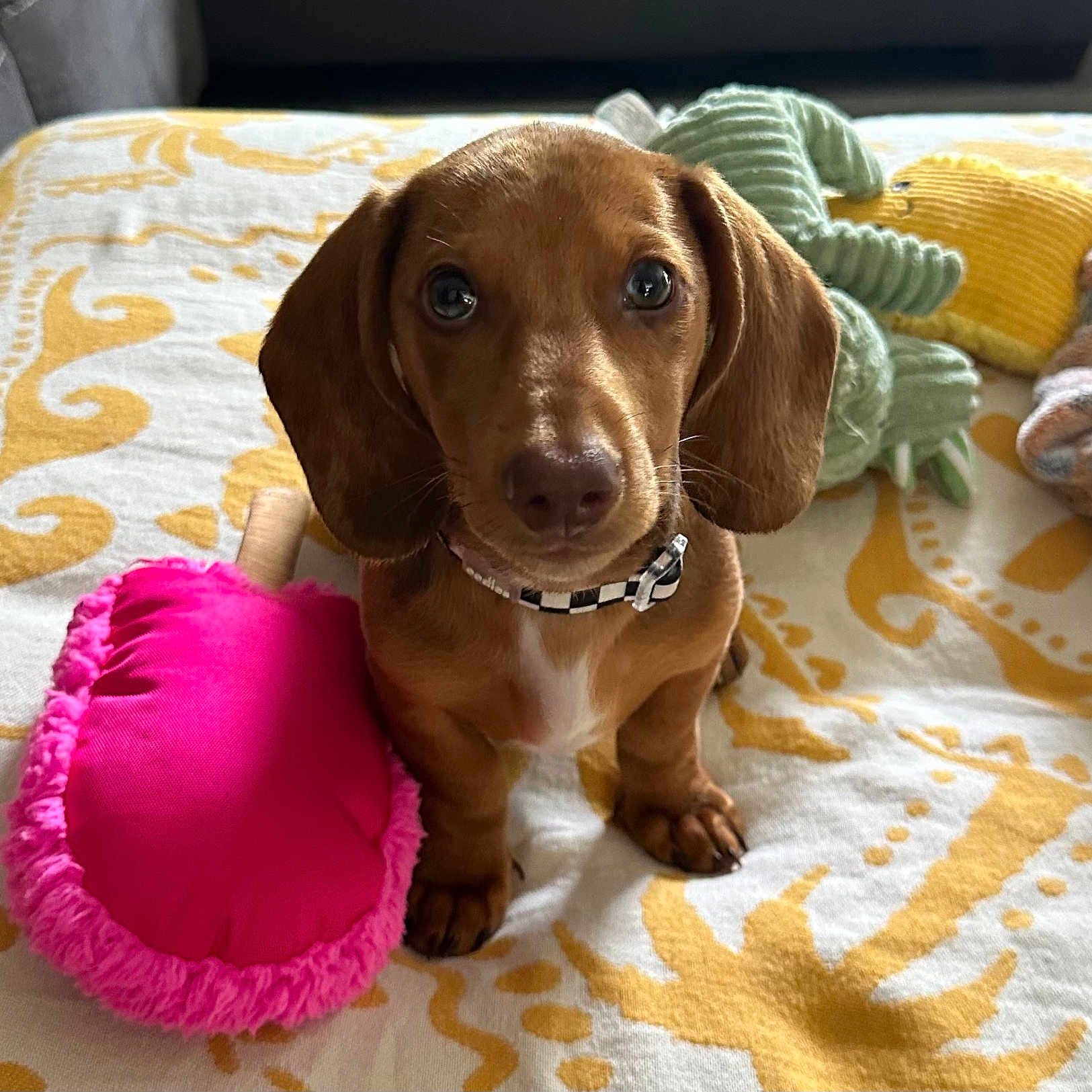 Milo