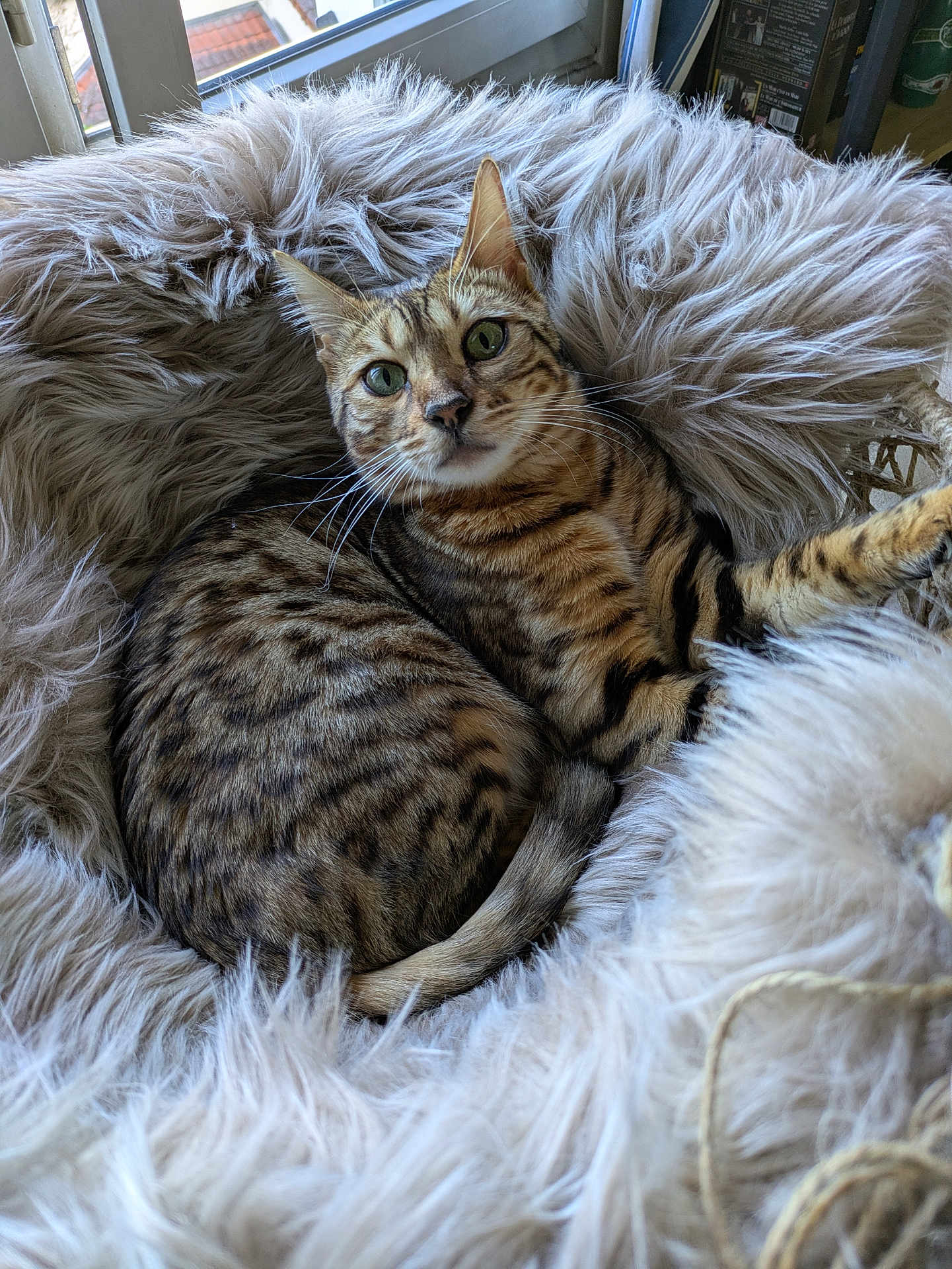 Léo