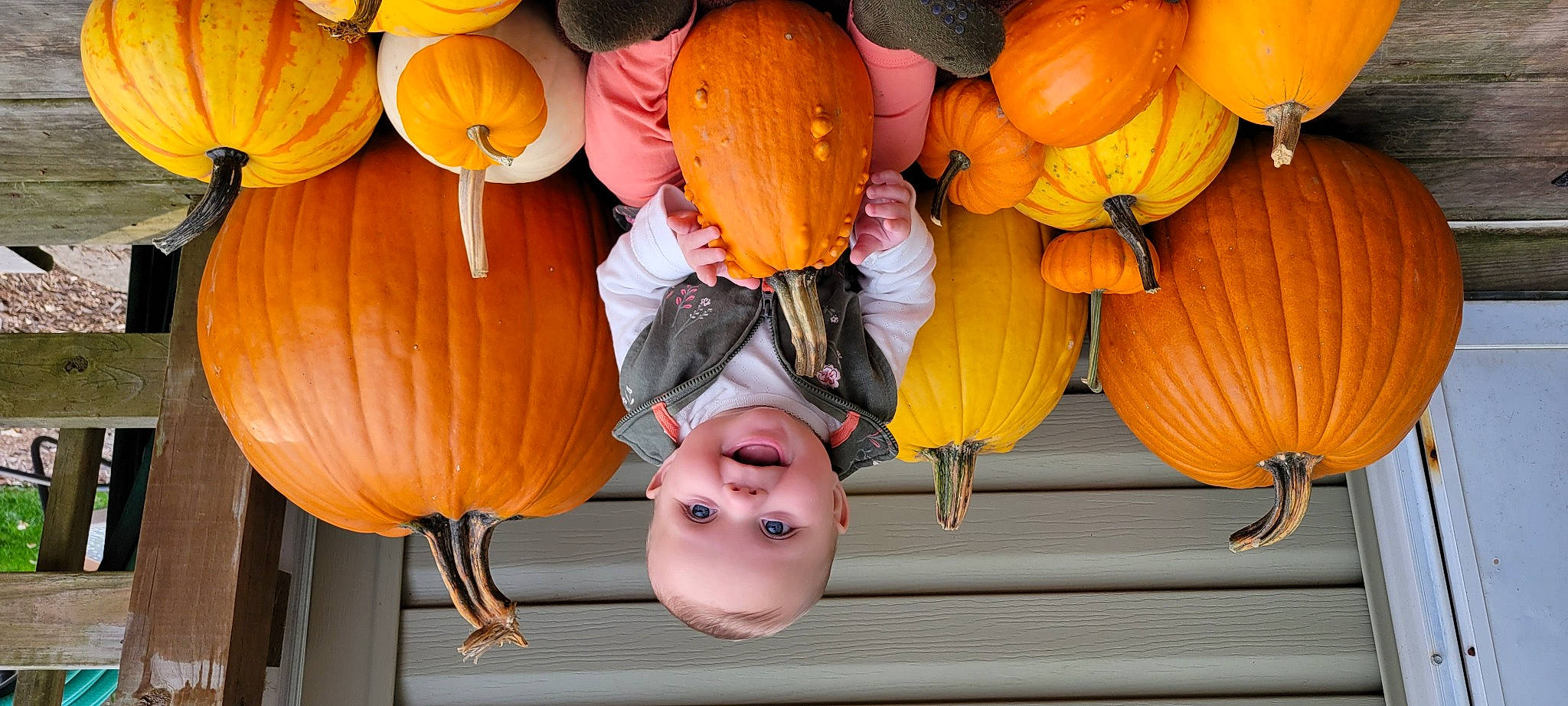 Kiera joined the competition — help win amazing prizes! calabaza, cucurbita, flowerpot, fruit, gourd, joy, leaf, lighting, local_food, natural_foods, orange, organ, person, plant, produce, pumpkin, smile, squash, textile, vegetable