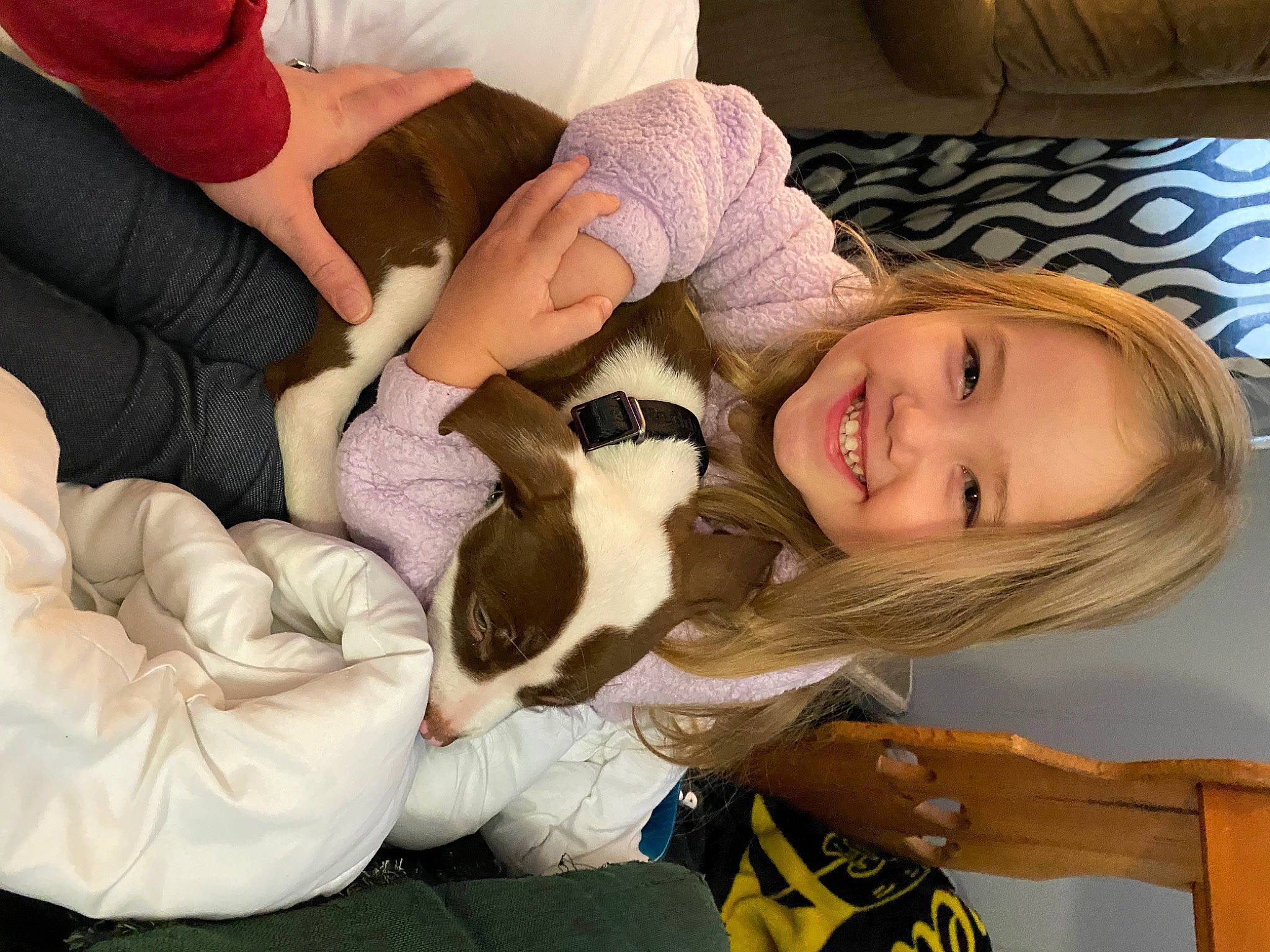 Adalyn joined the competition — help win amazing prizes! black_hair, carnivore, comfort, companion_dog, dog, dog_breed, facial_expression, fawn, felidae, finger, fun, gesture, hairstyle, happy, joy, lap, long_hair, person, skin, smile