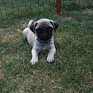 Ilox participe au concours pour gagner de l'argent avec cette photo :