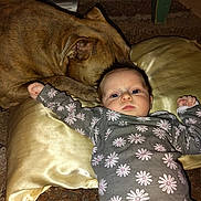 Makayla joined the competition — help win amazing prizes! baby, dog, pillow, carpet, onesie, floral_pattern, animal, child, pet, indoor, resting, cute, comfort, friendship, face, closeup, mammal, young, relaxation, home