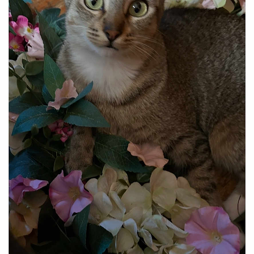 Ethyl