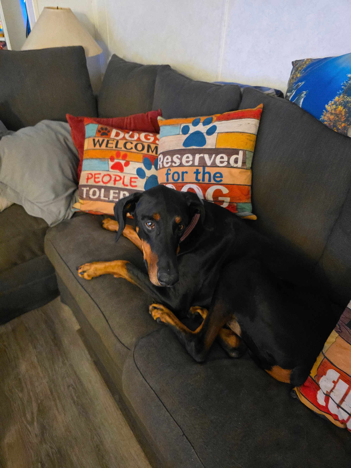 Opie