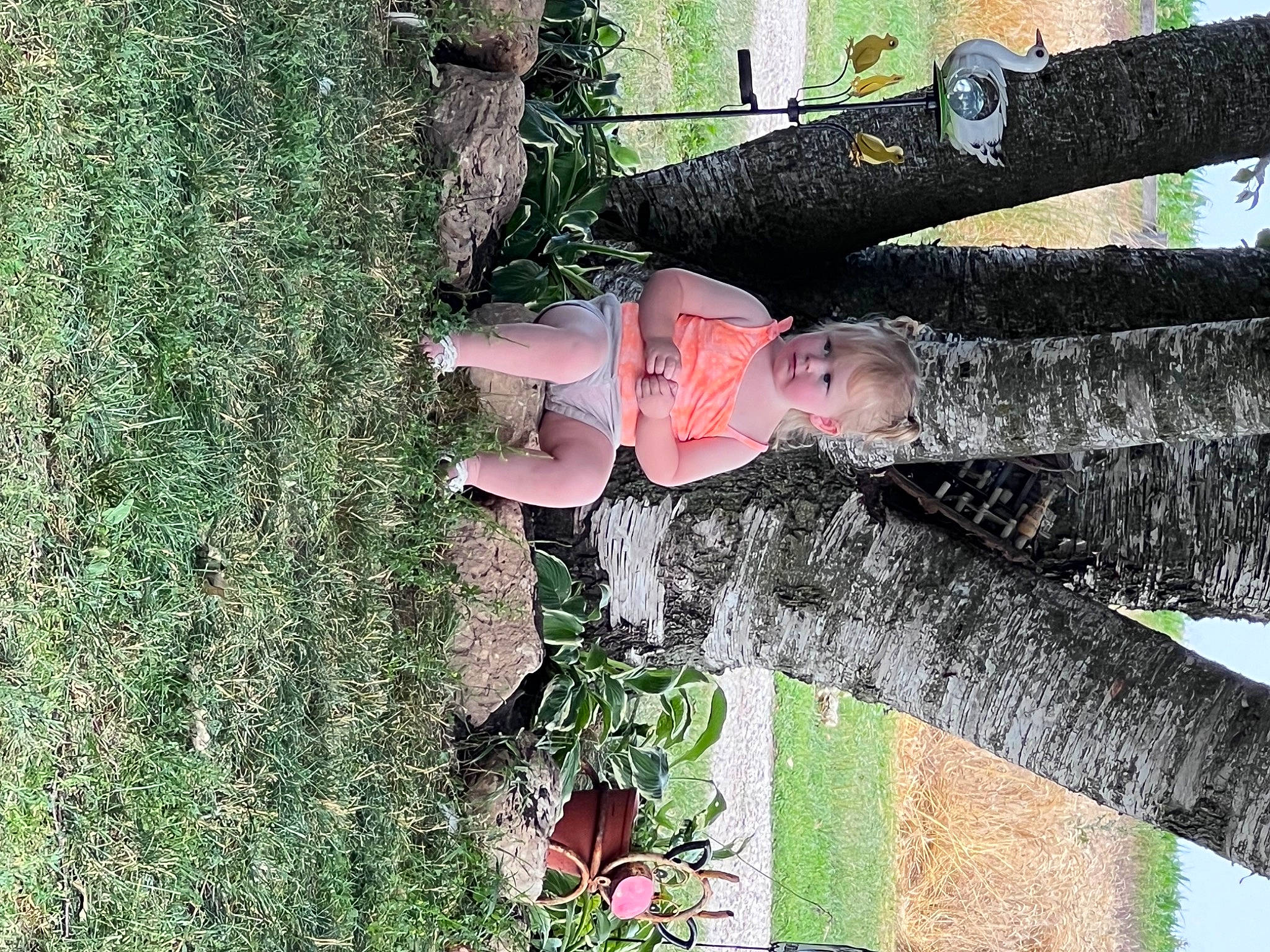 Adalynn joined the competition — help win amazing prizes! fun, grass, green, happy, leaf, leisure, people_in_nature, person, plant, shrub, thigh, tree, trunk, wood