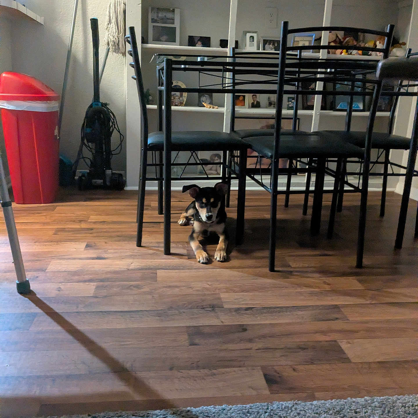 Simon