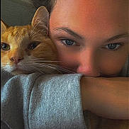 Broccoli is registered to the contest to win money with this photo: casual_clothing, cat, close_up, comfort, companionship, cozy, cute, eyebrows, eyelashes, face, fur, home, indoor, nostril, orange_cat, person, pet, relaxing, snuggling, whiskers