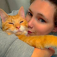 Broccoli joined the competition — help win amazing prizes! person, cat, orange_tabby, hugging, close_up, indoor, blanket, cozy, cute, face, fur, pet, comfort, love, affection, warmth, nose_ring, sparkles, heart_doodle, sleeve