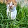 Marvin