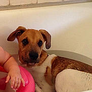 Volt participe au concours pour gagner de l'argent avec cette photo :