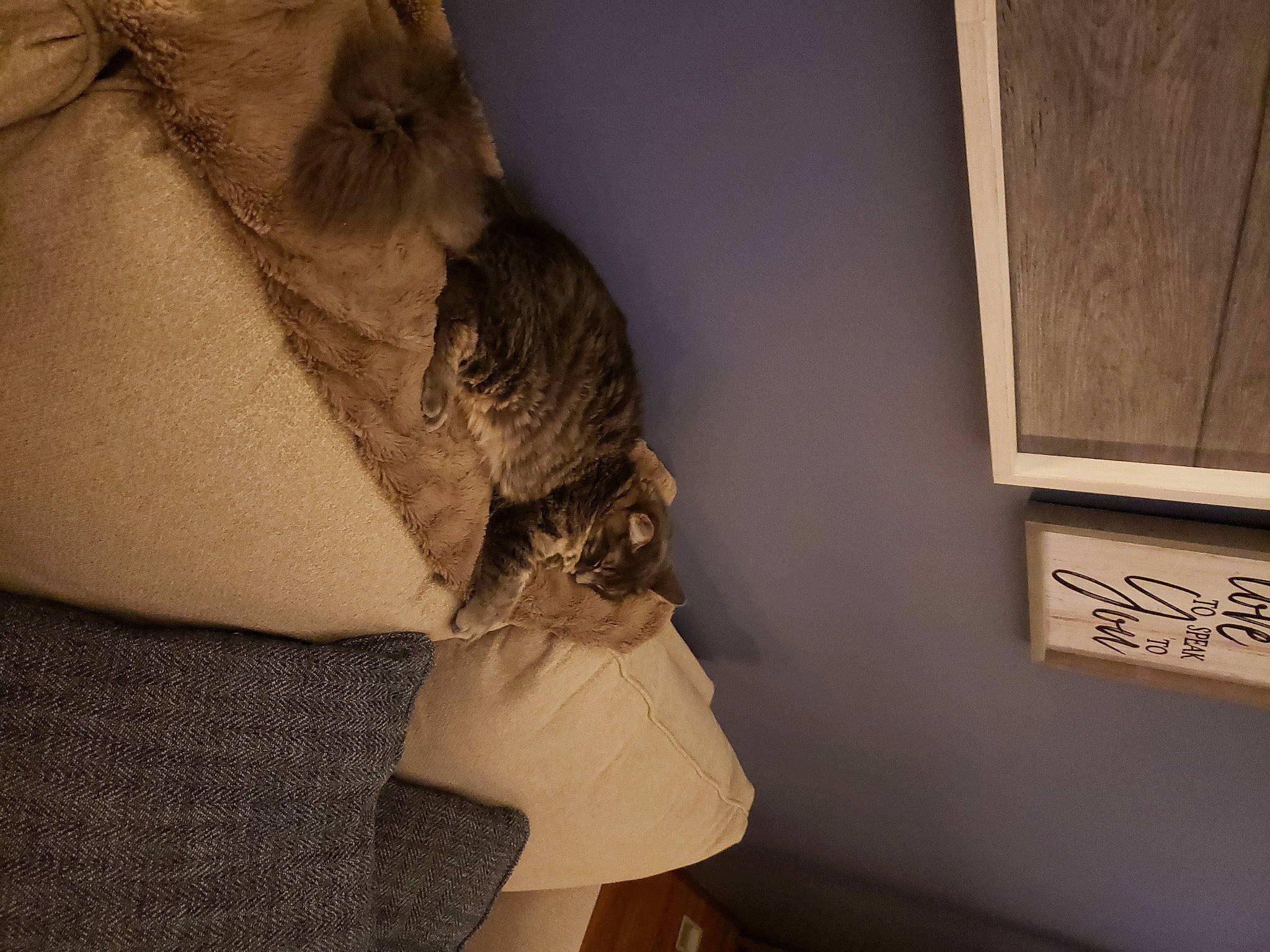 Toby joined the competition — help win amazing prizes! abdomen, art, beard, chest, elbow, fashion_design, grey, human_body, human_leg, joint, knee, long_hair, neck, sculpture, shoulder, sleeve, thigh, trunk, waist, wood