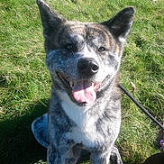 Hiro participe au concours pour gagner de l'argent avec cette photo :