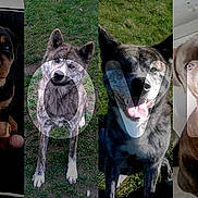 Unshu a rejoint le concours — aidez-le/la à gagner de superbes lots !