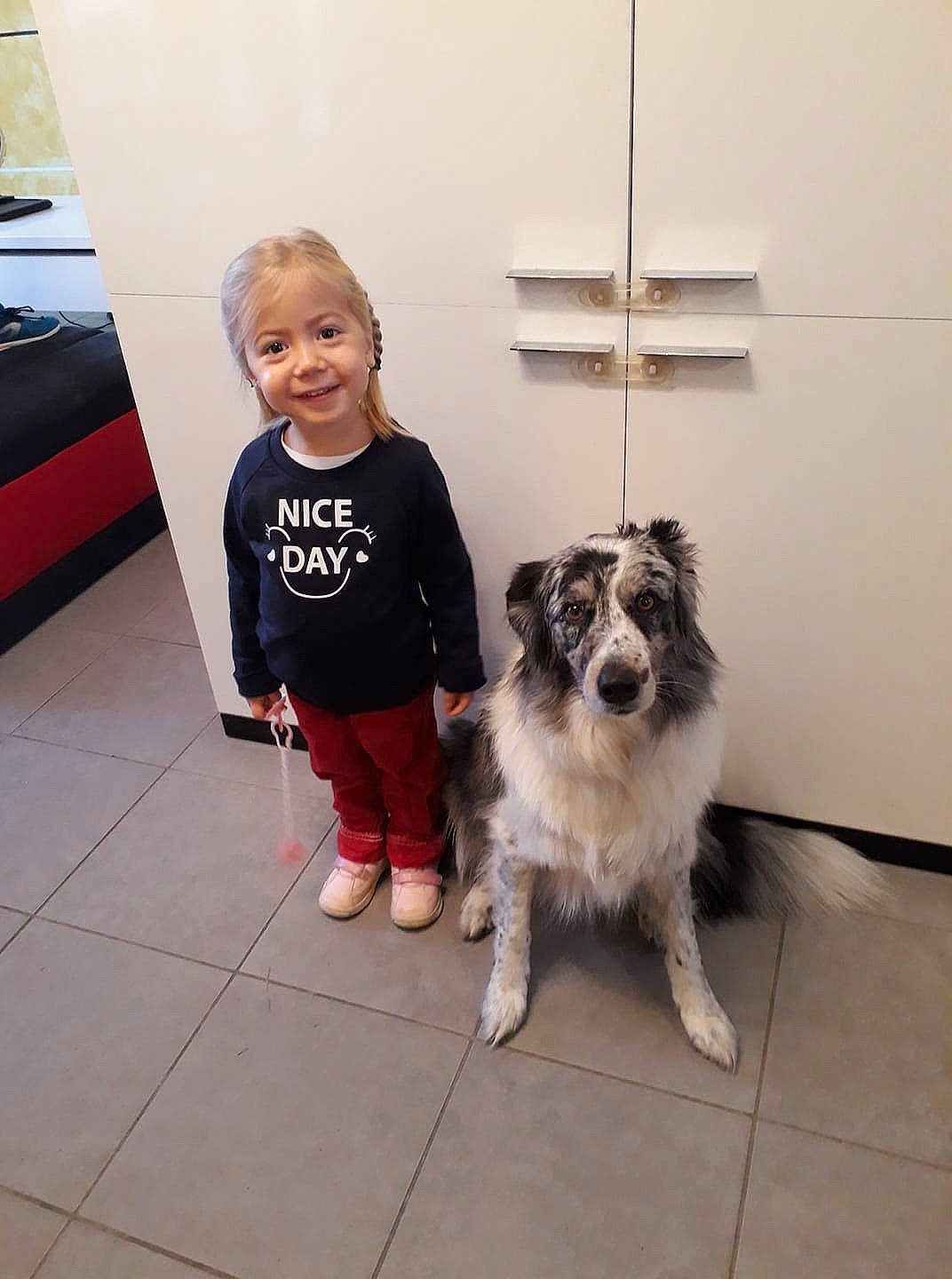 Letty participe au concours pour gagner de l'argent avec cette photo : border_collie, companion_dog, dog, dog_breed, dog_breed_group, dog_like_mammal, floor, flooring, joy, person
