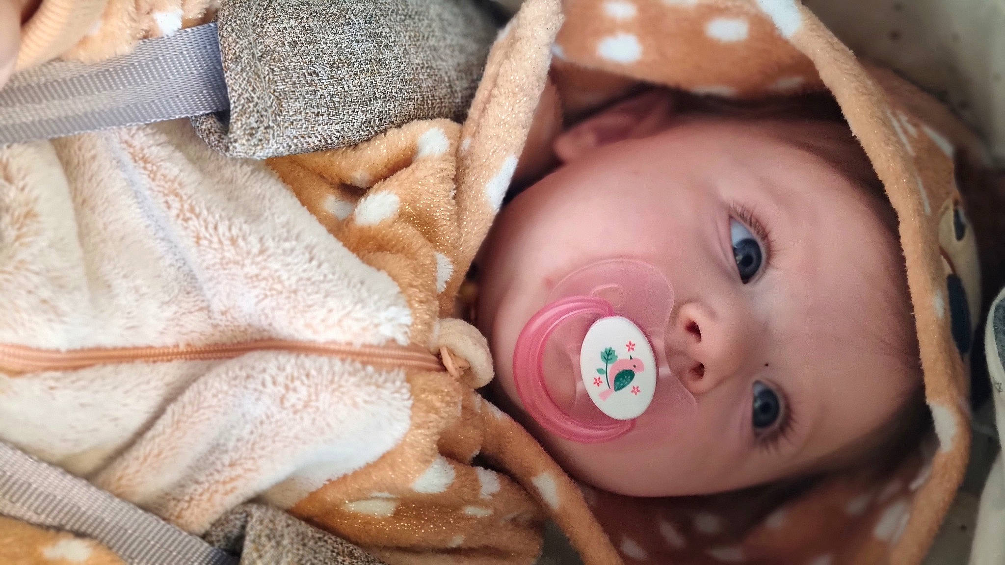 Ayla a rejoint le concours — aidez-le/la à gagner de superbes lots ! cap, cheek, doll, dress, eyelash, facial_expression, fawn, fedora, hand, headgear, human_body, lip, mammal, nose, organ, person, product, skin, textile, toy