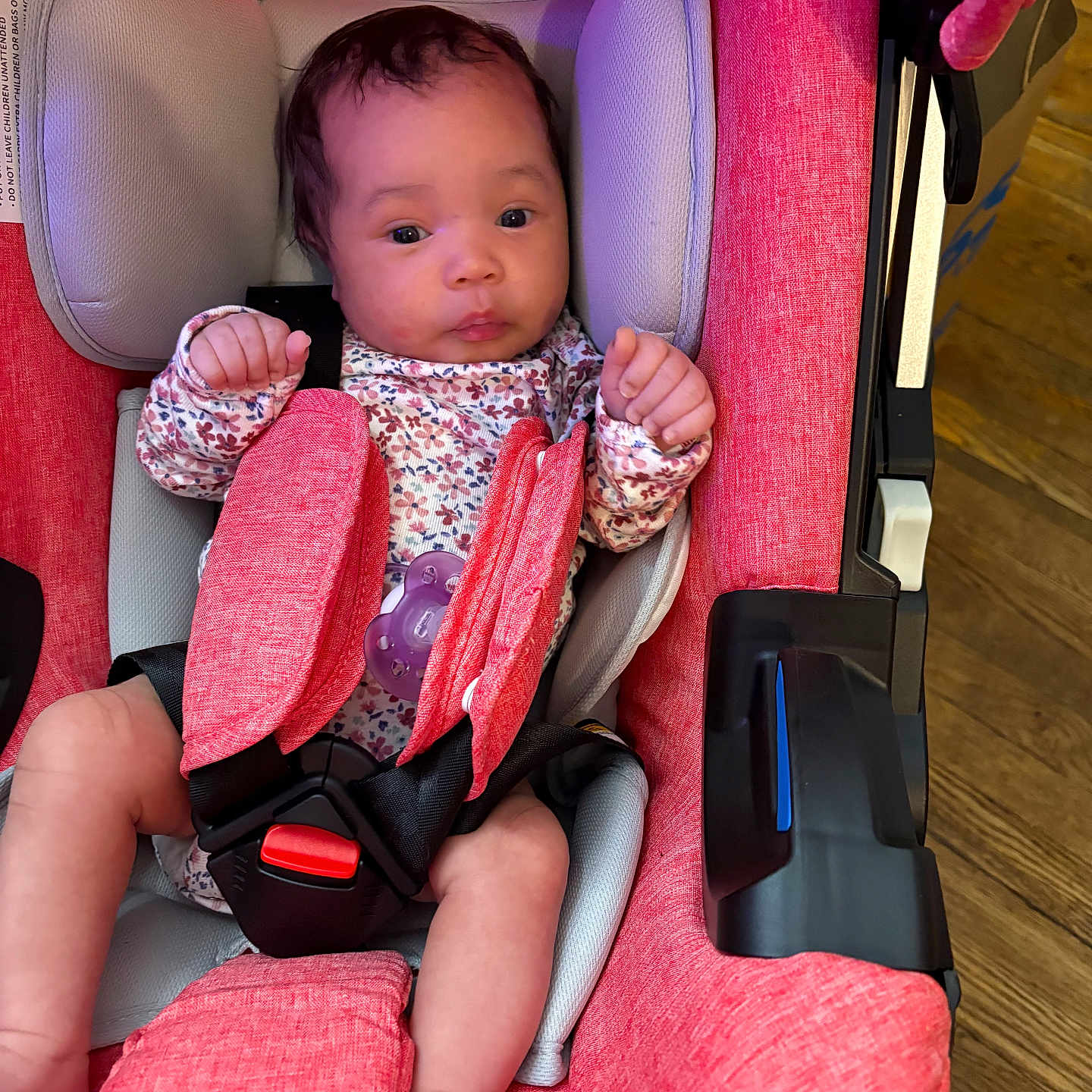 Nova Rios is registered to the contest to win money with this photo: baby, infant, car_seat, child, straps, pink, seat, clothing, pacifier, wood_floor, safety_belt, cute, indoors, person, newborn, face, legs, head_support, bright_colors, expression