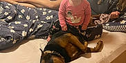 Corkey is registered to the contest to win money with this photo: baby, dog, woman, bed, lamp, comforter, smile, happy, indoor, bedroom, furniture, pajamas, glasses, relaxing, pet, family, blanket, legs, light, home
