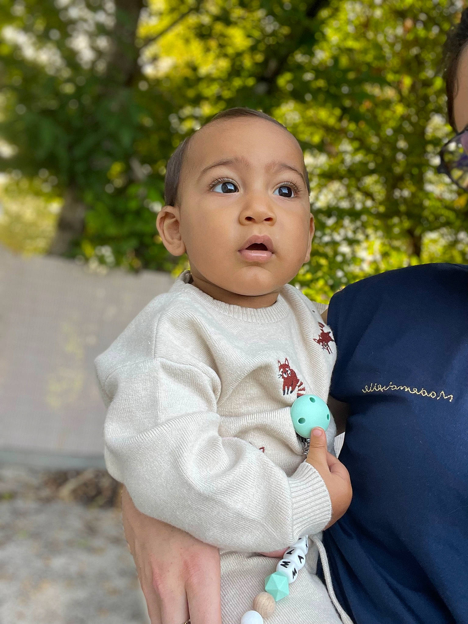 Lyam participe au concours pour gagner de l'argent avec cette photo : baby, baby_products, baby_toddler_clothing, child, face, fun, grass, happy, jewellery, leisure, person, plant, portrait_photography, recreation, sitting, sleeve, smile, toddler, tradition, tree