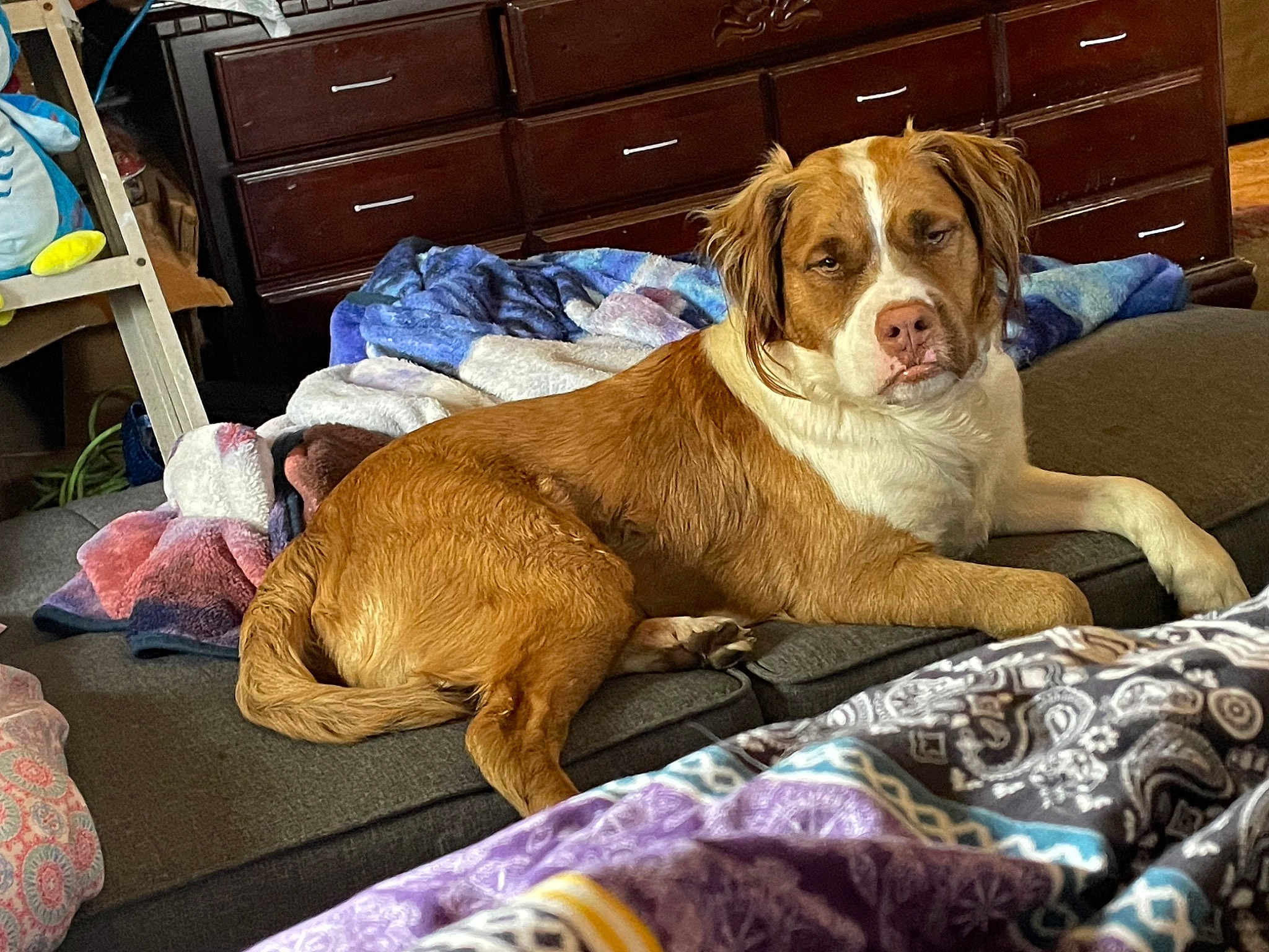 Nugget