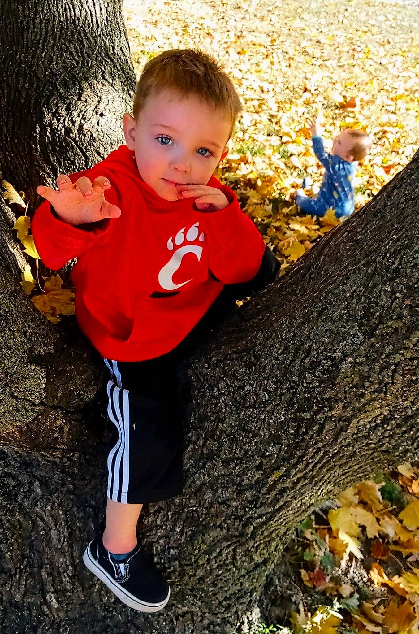Khyza joined the competition — help win amazing prizes! baby, carmine, child, deciduous, fun, grass, happy, leaf, leisure, people_in_nature, person, plant, play, recreation, sitting, soil, t_shirt, toddler, tree, trunk