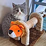 kitten, cat, scratching_post, toy, plush, orange, lion, furniture, floor, curious, pet, indoor, cute, furry, animal, household, playful, small, domestic, grey
