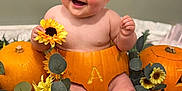 Audrey is registered to the contest to win money with this photo: baby, flower_crown, pumpkin, sunflower, greenery, smiling, cute, sitting, indoor, child, autumn, decorative, happy, skin, headwear, nature, cute_baby, holiday, portrait, playful