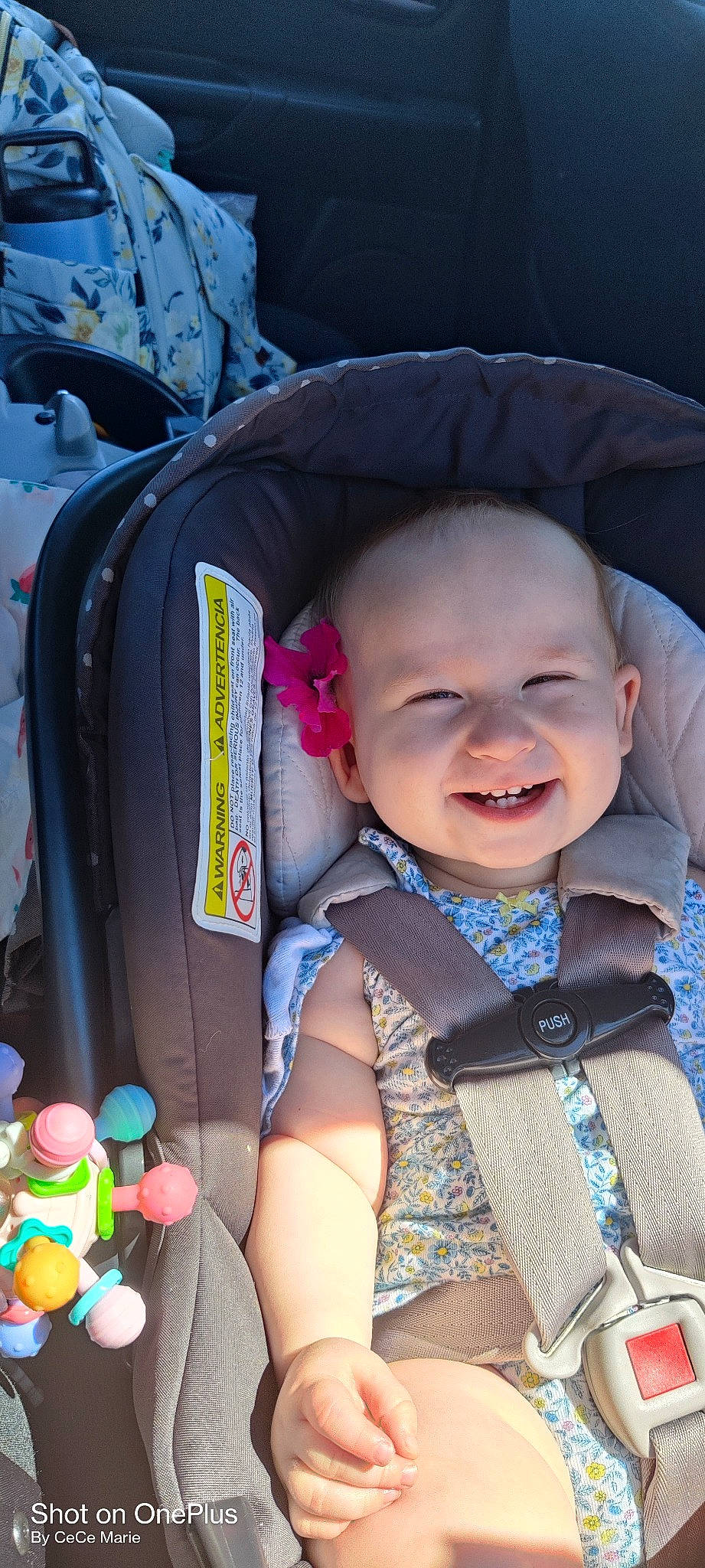 Aleena is registered to the contest to win money with this photo: auto_part, baby, baby_carriage, baby_products, baby_toddler_clothing, car_seat, cheek, child, eye, fun, happy, iris, joy, person, pink, skin, smile, stuffed_toy, toddler, toy