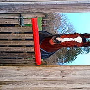 Obrien participe au concours pour gagner de l'argent avec cette photo : elbow, hardwood, house, landscape, lumber, plank, rectangle, sky, soil, tints_and_shades, tree, trunk, water, window, wood, wood_stain