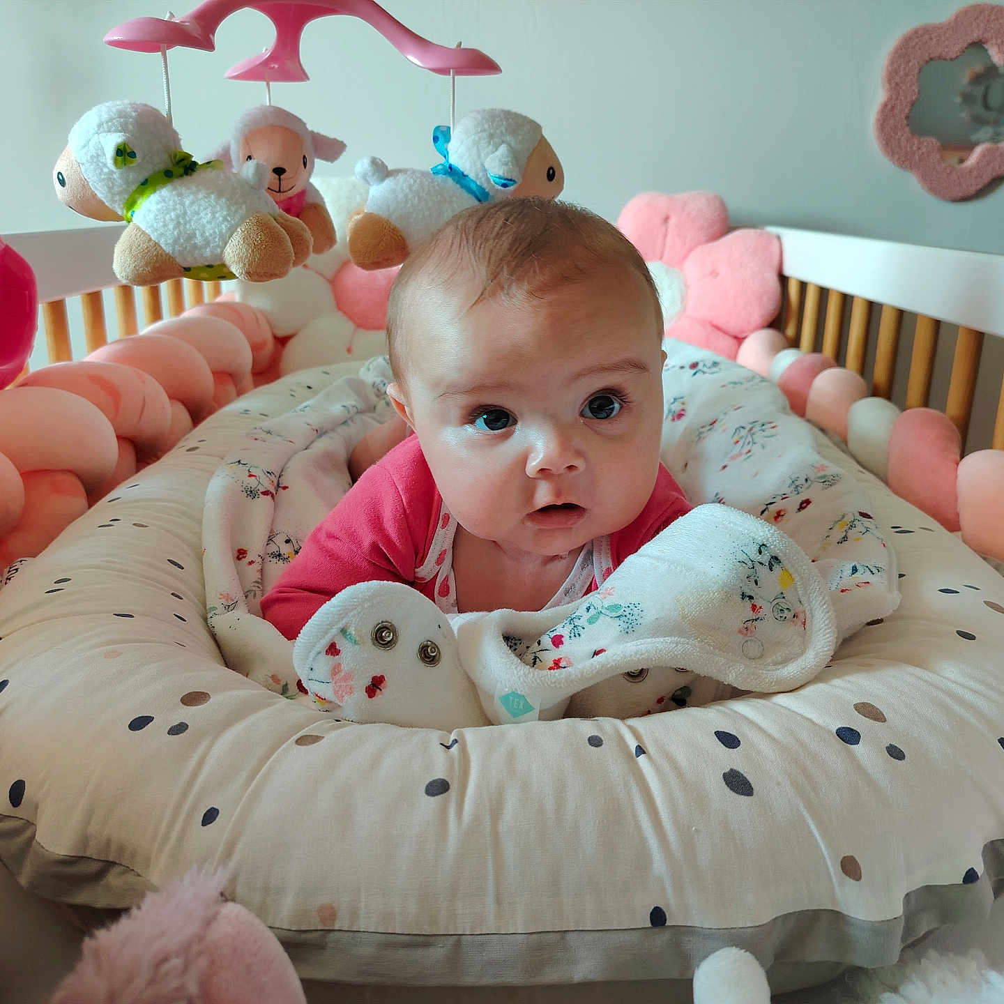 Zoéline participe au concours pour gagner de l'argent avec cette photo : baby, bed, blanket, child, comfort, crib, cushion, cute, face, gaze, head, indoor, infant, nursery, pink, polka_dot, portrait, soft_toy, stuffed_animal, toy