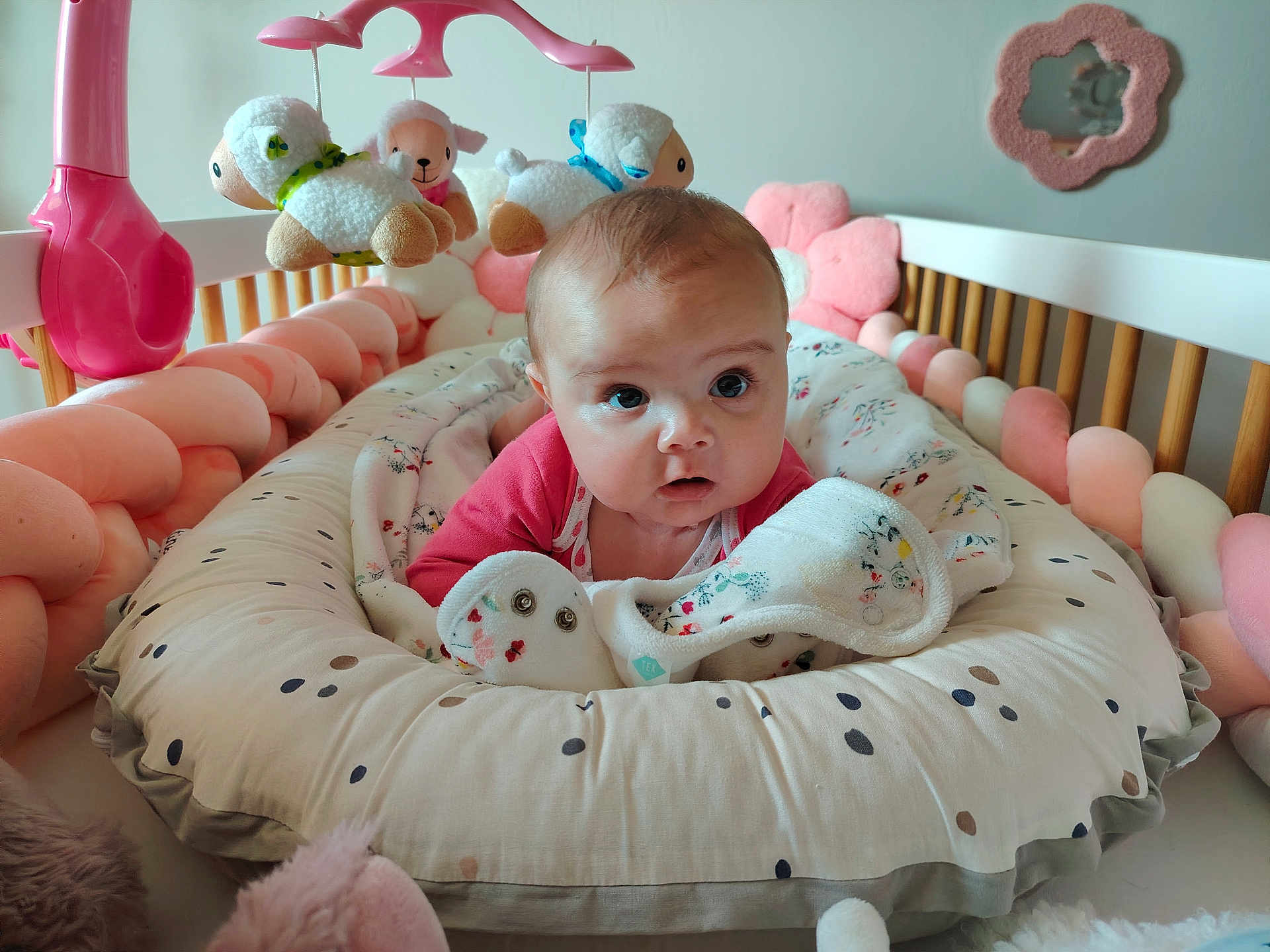 Zoéline participe au concours pour gagner de l'argent avec cette photo : baby, crib, blanket, toy, stuffed_animal, pink, cushion, infant, face, child, nursery, soft_toy, comfort, polka_dot, bed, cute, indoor, portrait, head, gaze