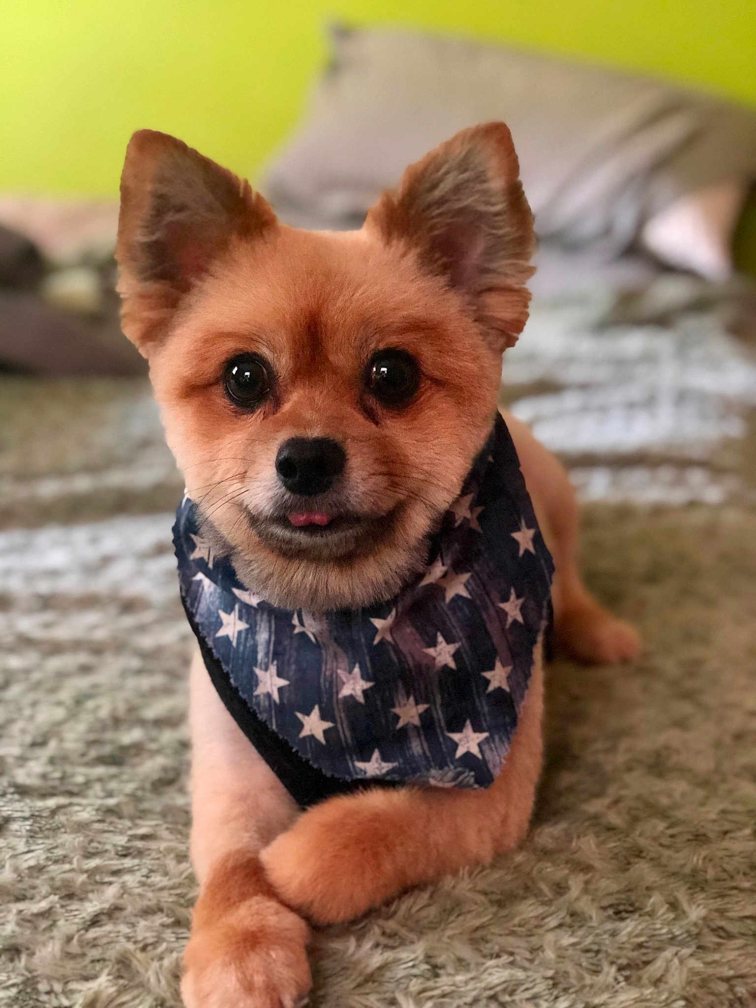 Jax