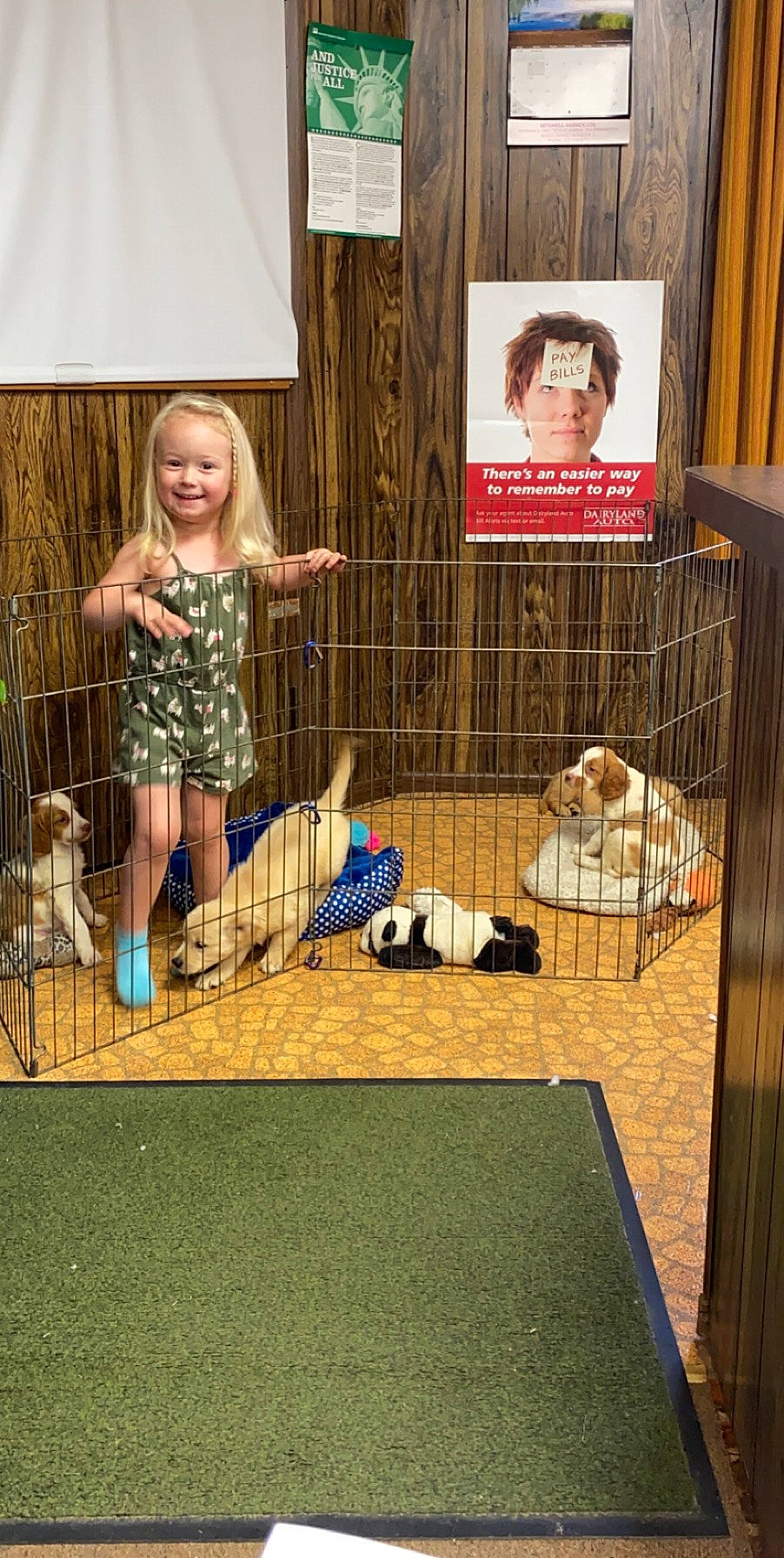 Lainey joined the competition — help win amazing prizes! cage, companion_dog, curtain, dog_supply, fawn, flooring, fun, grass, joy, leisure, mammal, net, pattern, person, pet_supply, recreation, smile, sporting_group, sunglasses, toddler