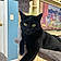 Binx