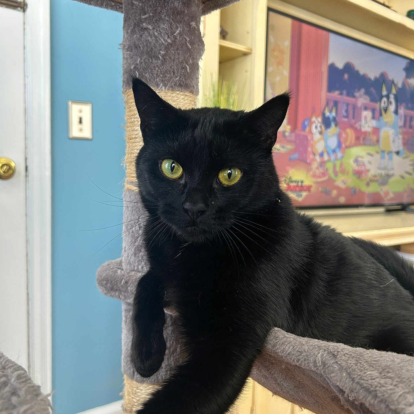 Binx