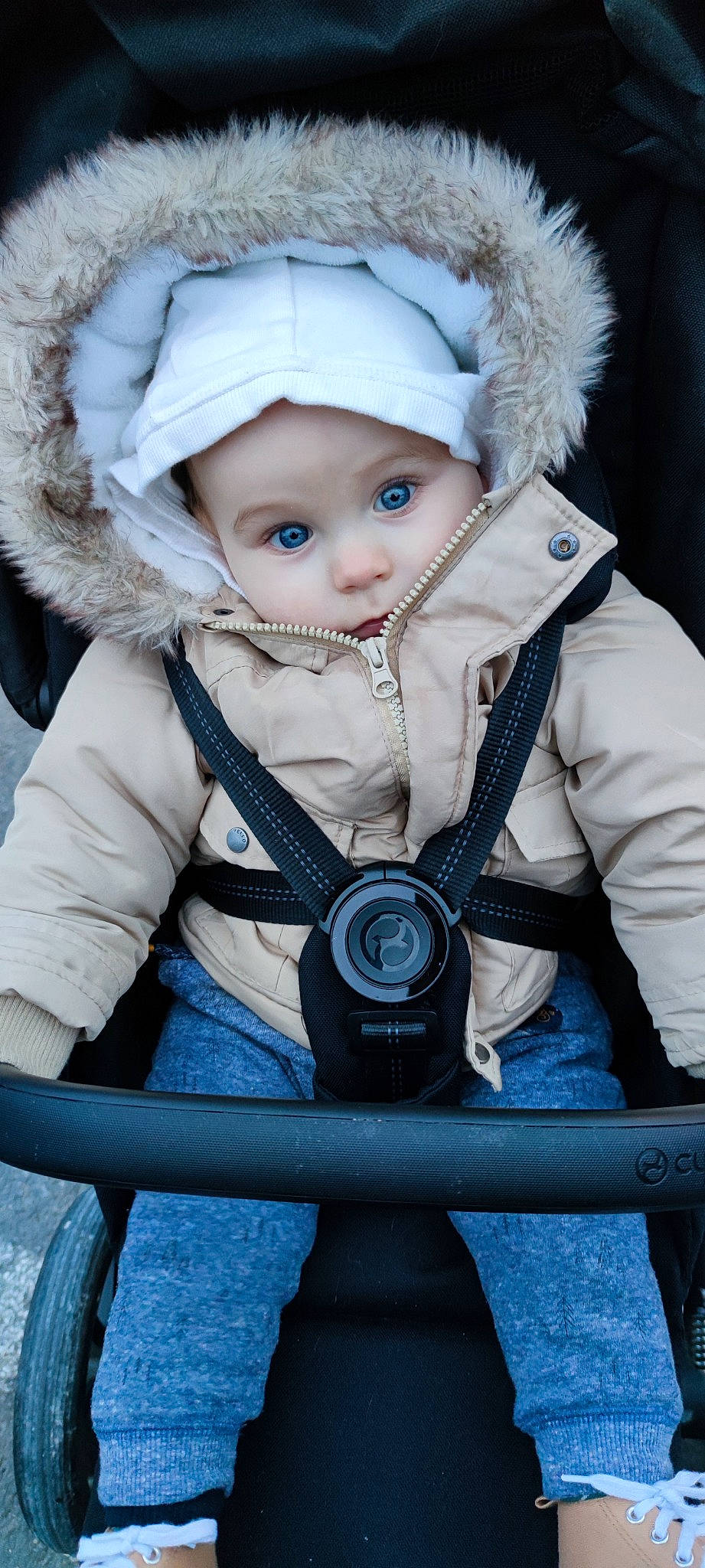 Hugo a rejoint le concours — aidez-le/la à gagner de superbes lots ! cap, cheek, child, doll, electric_blue, eye, eyelash, fashion, fashion_accessory, fur, fur_clothing, hand, headgear, headwear, jewellery, organ, outerwear, person, skin, textile