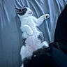 cat, pet, animal, white_cat, gray_cat, lying_down, belly_up, raised_paw, paw_pads, relaxed, sleepy, playful, couch, sofa, blanket, indoor, home, cozy, portrait, blurry