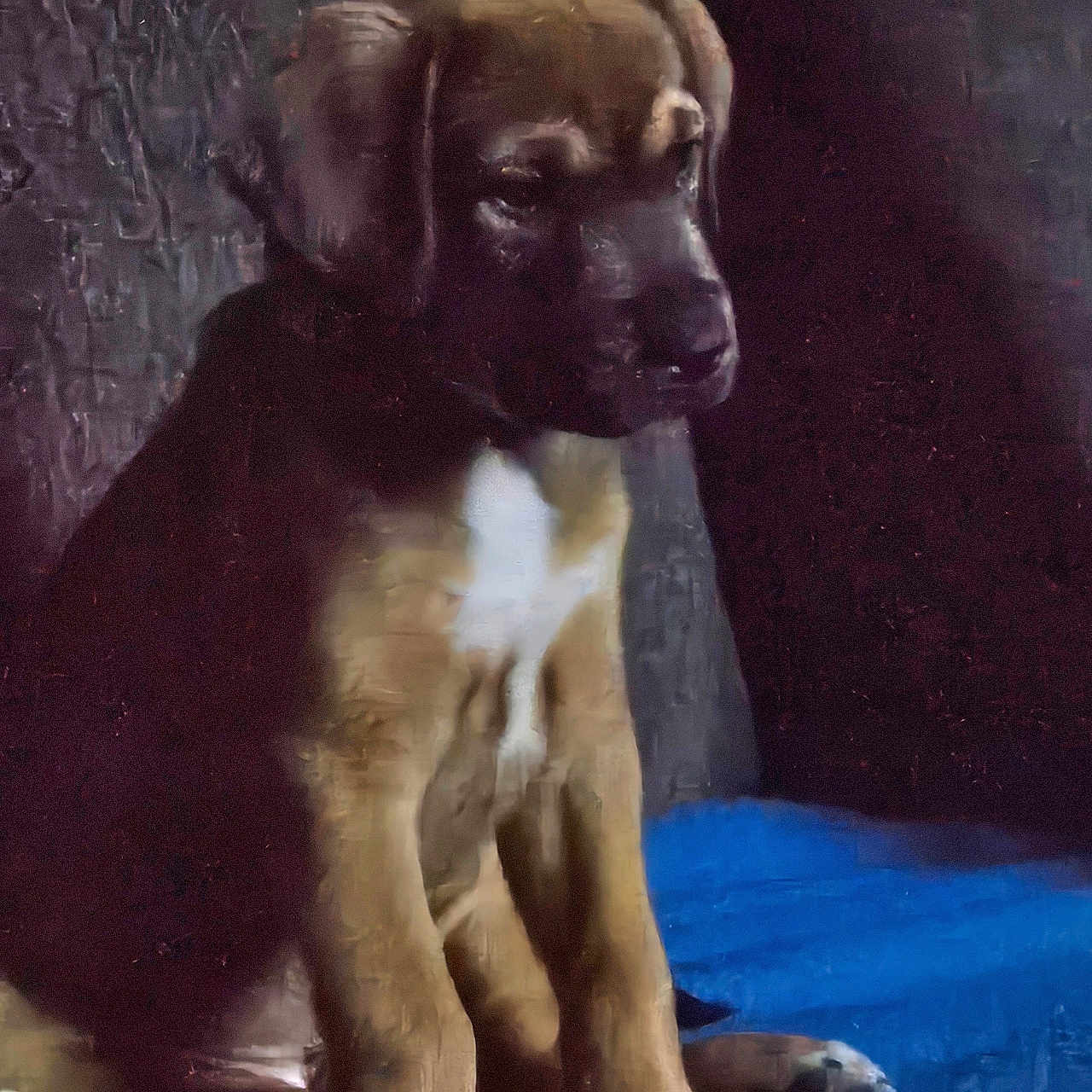 Cooper