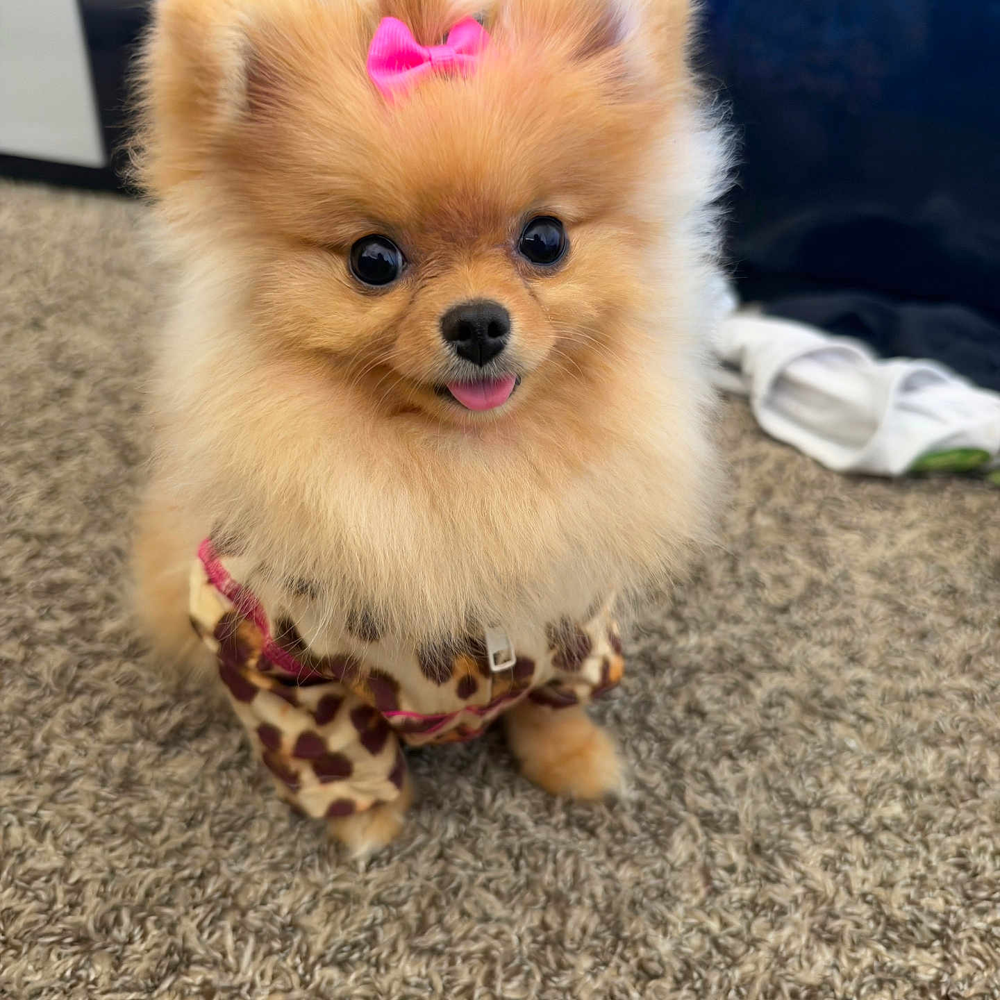 Nyla