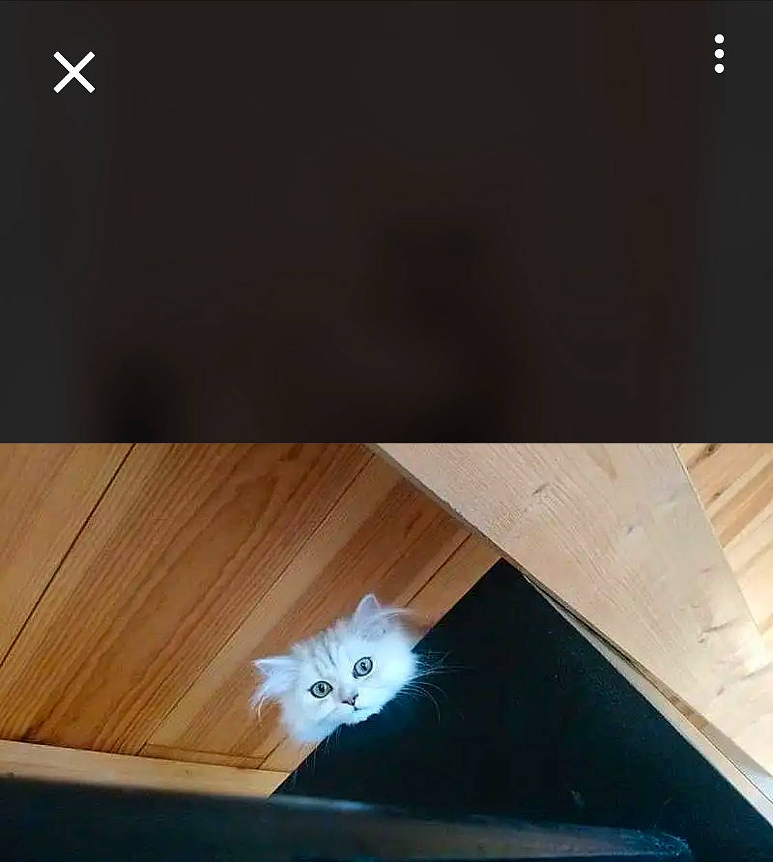 Chanel participe au concours pour gagner de l'argent avec cette photo : brown, ceiling, cloud, floor, flooring, font, hardwood, laminate_flooring, material_property, pattern, plank, plywood, property, rectangle, table, tints_and_shades, varnish, wood, wood_flooring, wood_stain