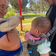 Laura is registered to the contest to win money with this photo: baby, child, person, woman, man, chicken, bird, animal, baby_carrier, outdoor, park, sunlight, glasses, fence, grass, trees, blue_shirt, casual_clothing, interaction, smile