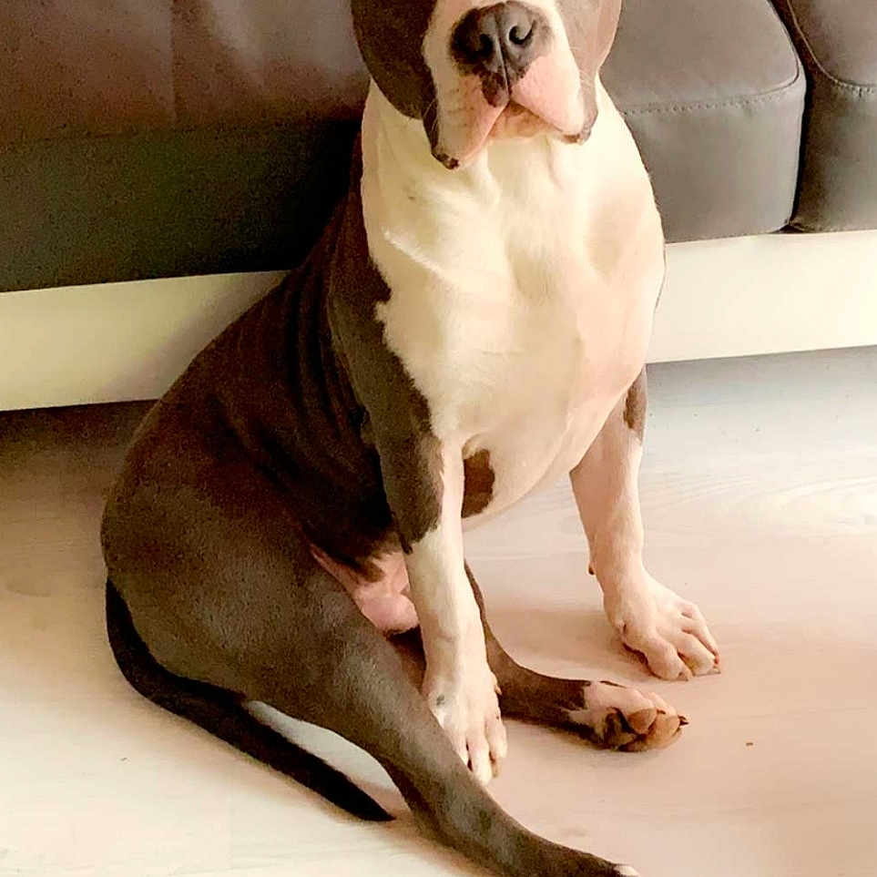 Paco