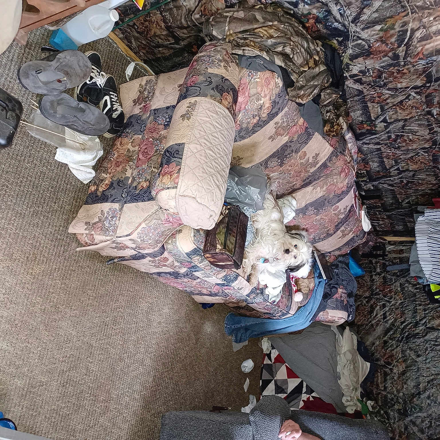 Littlesister is registered to the contest to win money with this photo: comfort, fun, military_camouflage, pattern, plastic, waste, wood