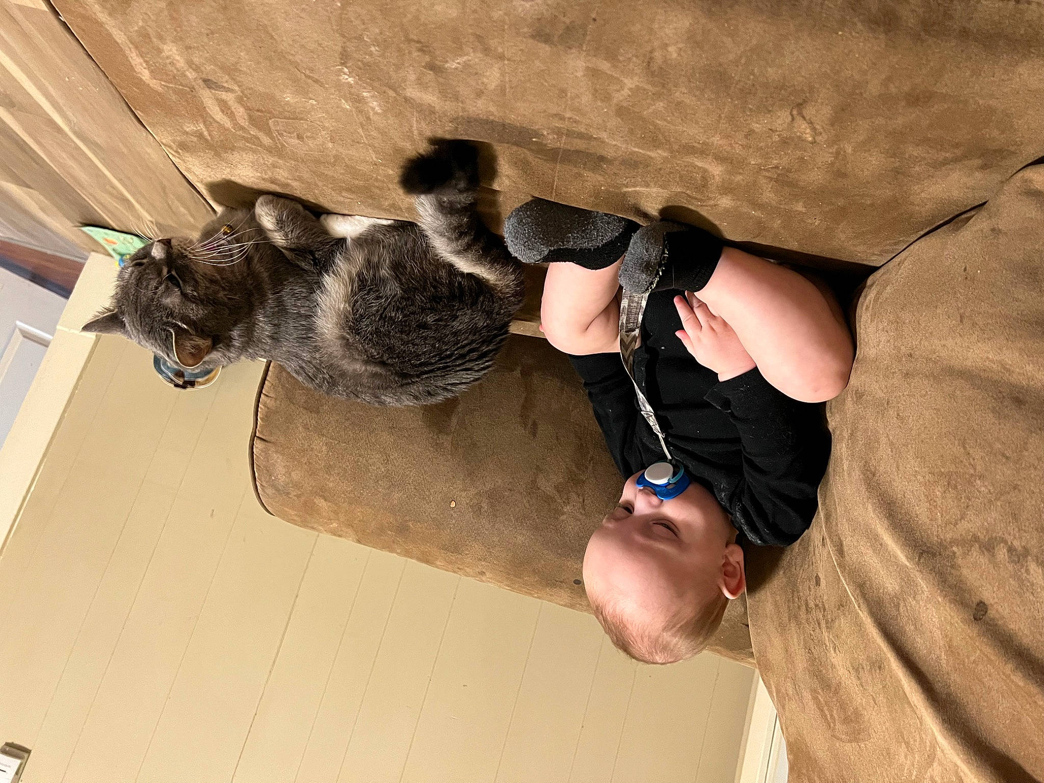 Mittens joined the competition — help win amazing prizes! adventure, ceiling, climbing, eyewear, flooring, fun, hardwood, landscape, leisure, personal_protective_equipment, recreation, rock, rock_climbing_equipment, rope, soil, sport_climbing, sunglasses, wood