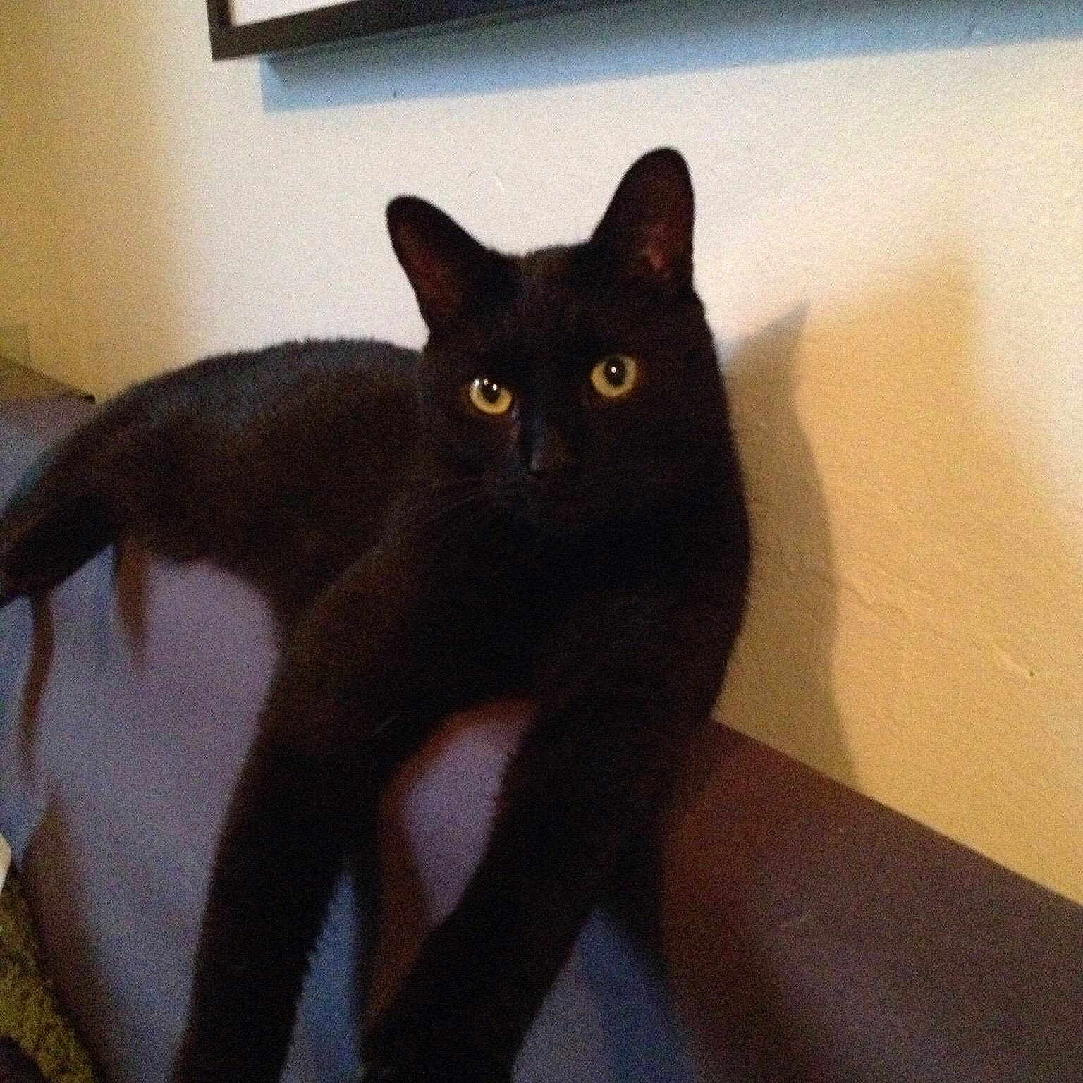 Jet is registered to the contest to win money with this photo: