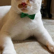 Harley is registered to the contest to win money with this photo: