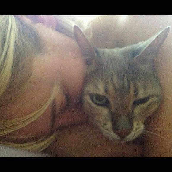 Misu is registered to the contest to win money with this photo: