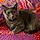 Kathy Jo Searfoss